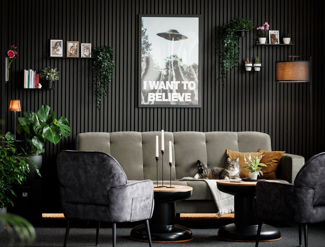 Wie Du aus Deiner nackten Akustikpaneel-Wand eine funktionelle Design-Oase zauberst - ganz ohne Bohren!