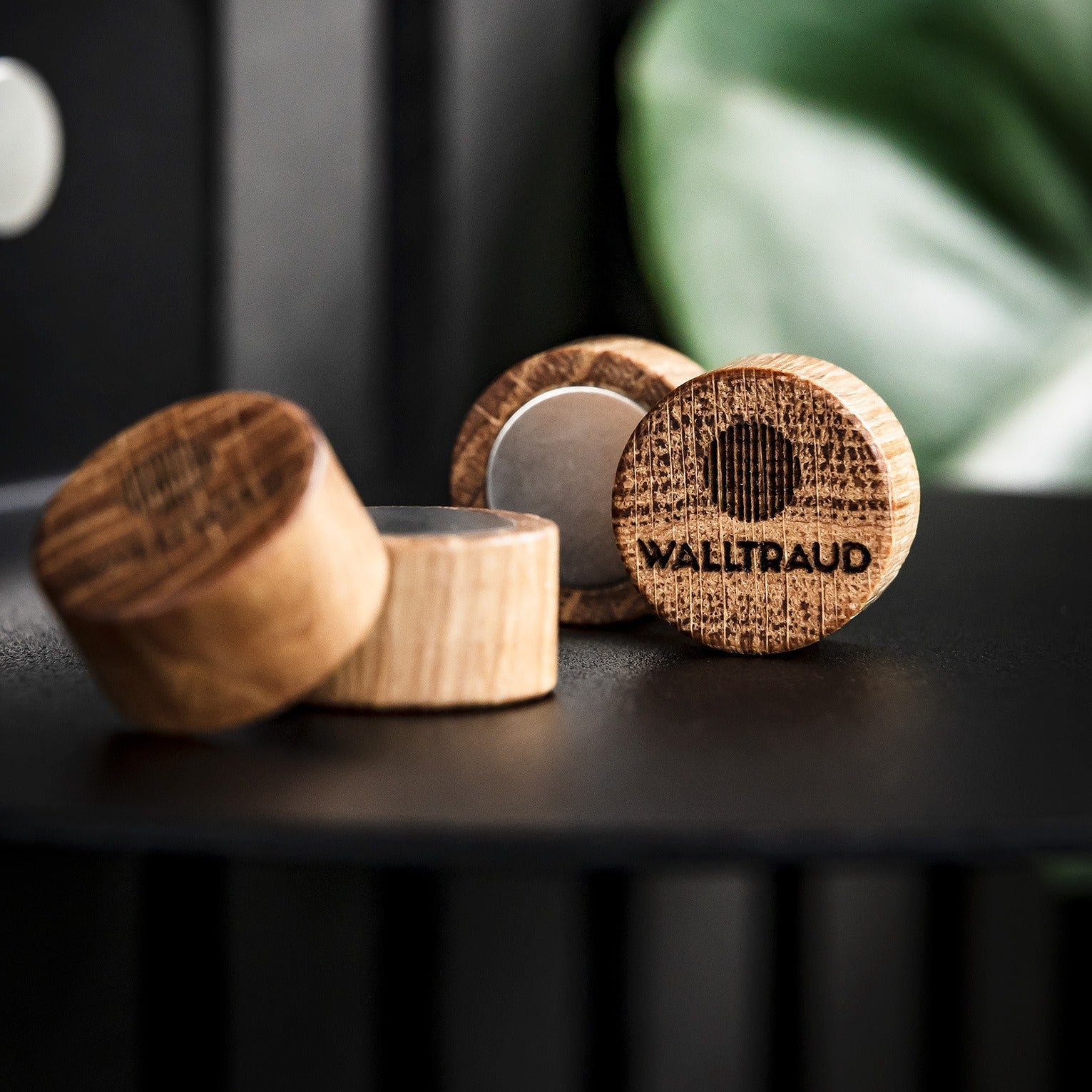 Holzmagnete aus Eiche als Zubehör für Akustikpaneele ohne Bohren