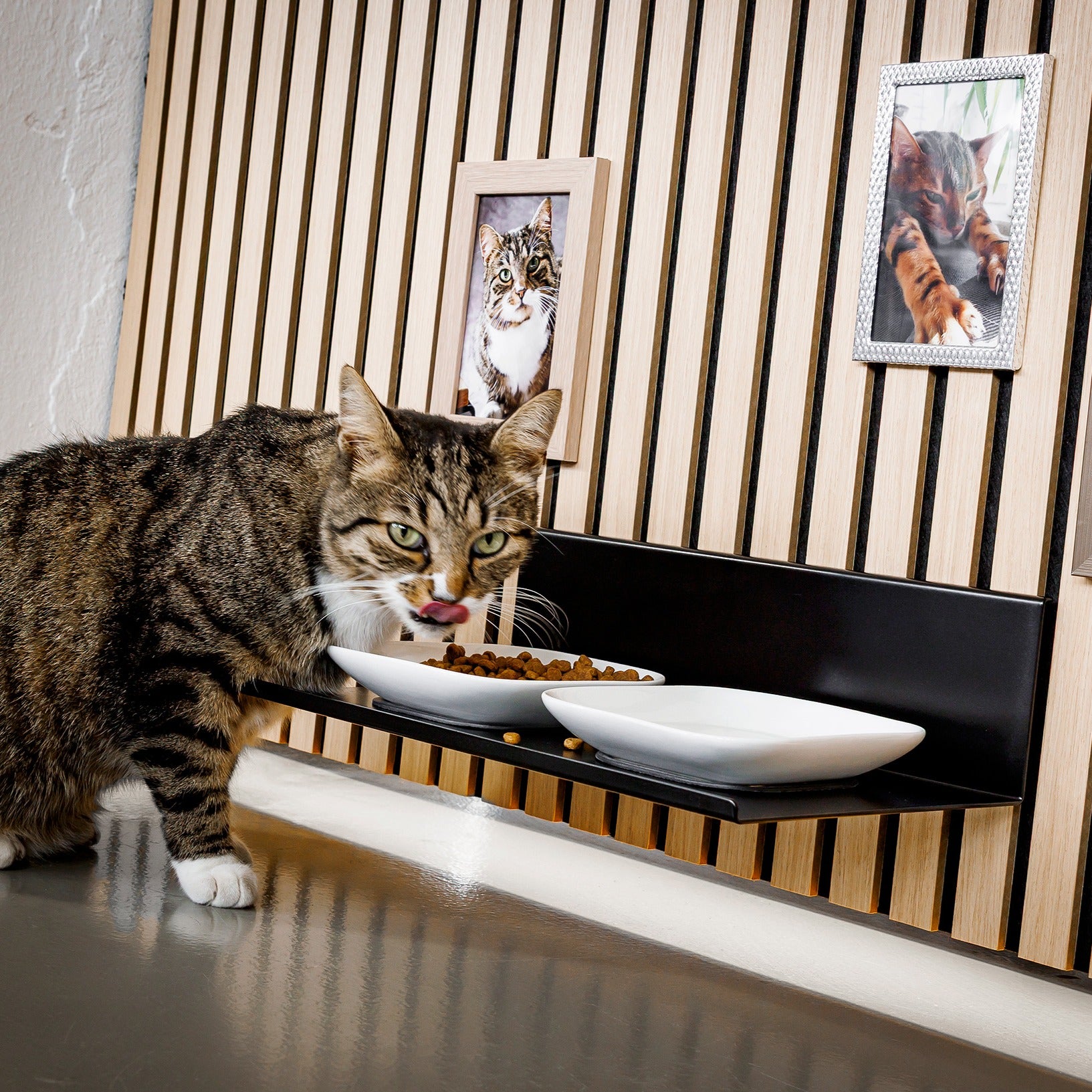 WALLTRAUD® Katzenfutterbar, für Akustikpaneele ohne Bohren, Anwendungsbeispiel mit Kater Grobi