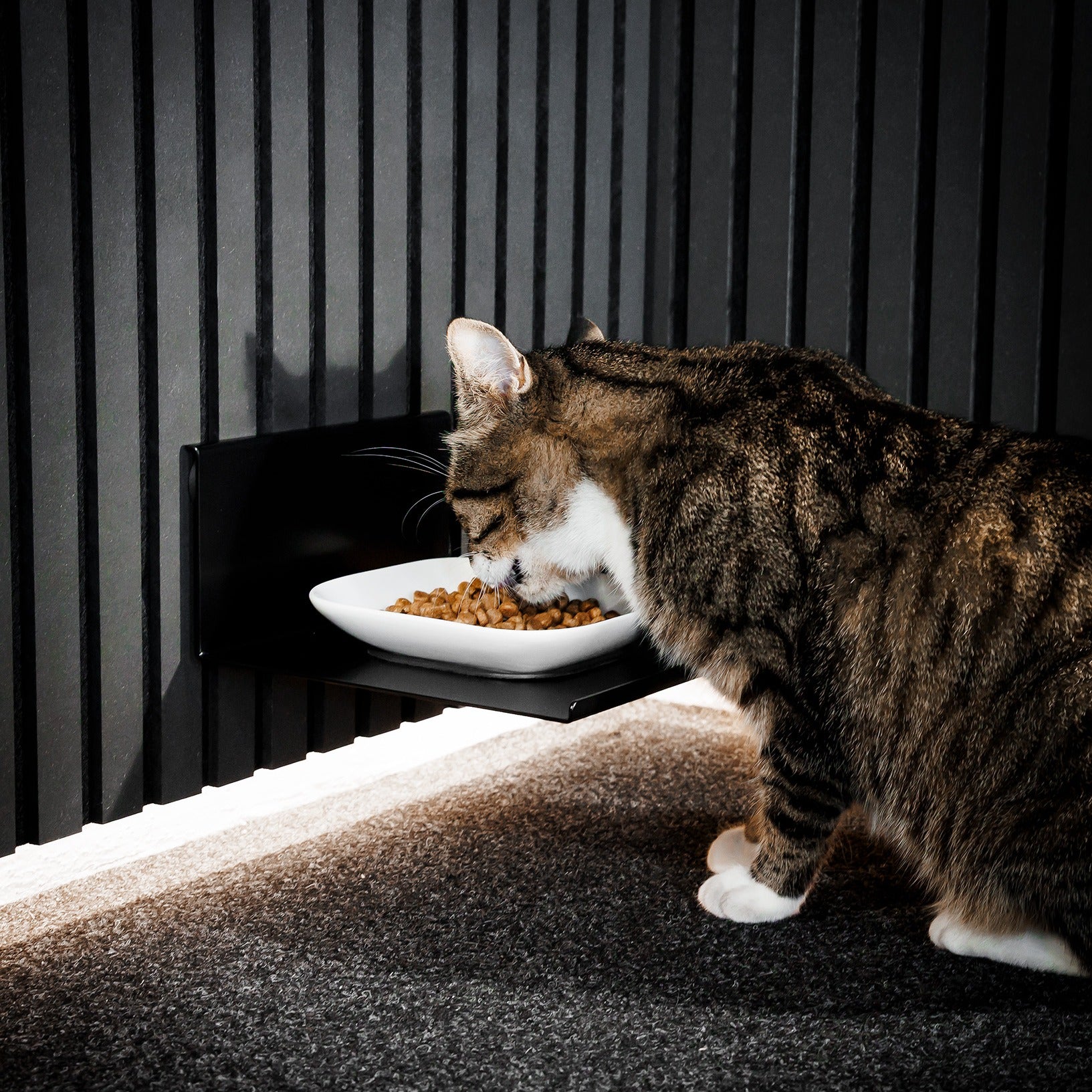 Napfhalter für Akustikpaneele ohne Bohren. Katzen lieben die ergonomische Fütterungshöhe am Austikpaneel ohne Bohren oder als reguläre Wandmontage.