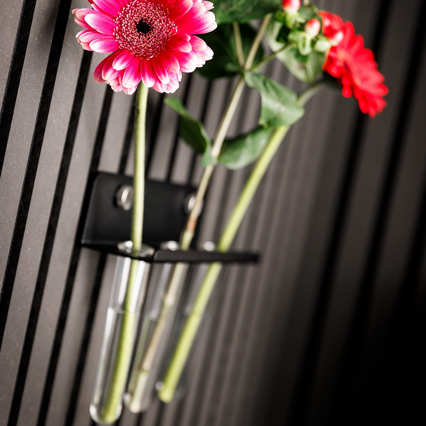 Metallregal als Reagenzglashalter für Akustikpaneele ohne Bohren. Hochwertige Verarbeitung, Made in Germany. Inkl. Reagenzgläser.